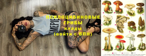 твердый Алзамай