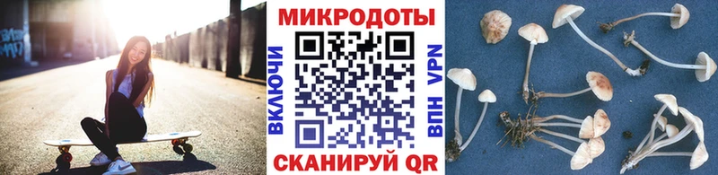 Галлюциногенные грибы прущие грибы  закладка  Юрьевец 