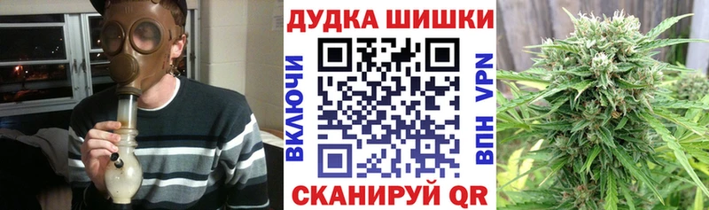Каннабис сатива  Юрьевец 